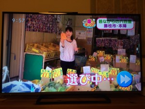 本田先生が選び中